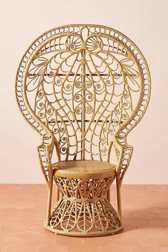 Peacock Chair | Rental