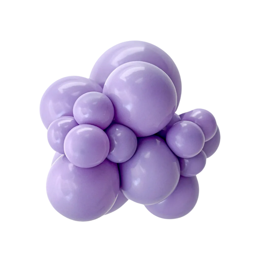 Fashion Lilac Bundle