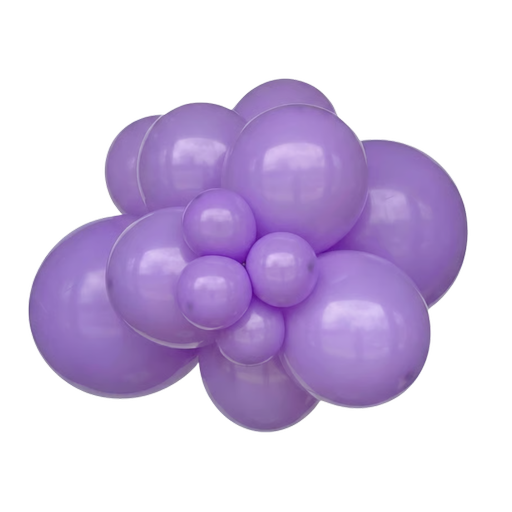 Fashion Lilac Bundle