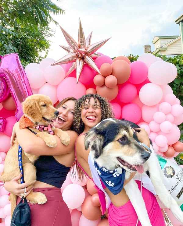 Everything You Ever Wanted to Know About Balloons by Party on Butler