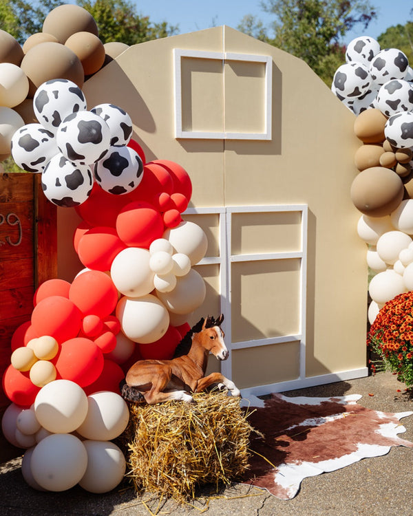 How to Match Your Party Theme with Balloon Arches & Décor?