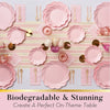 Blush Dinner Plate