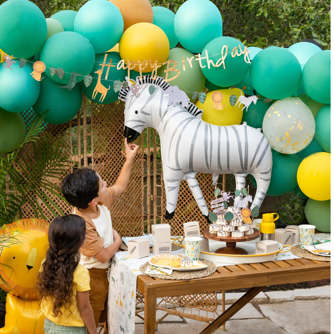 Zebra Balloon
