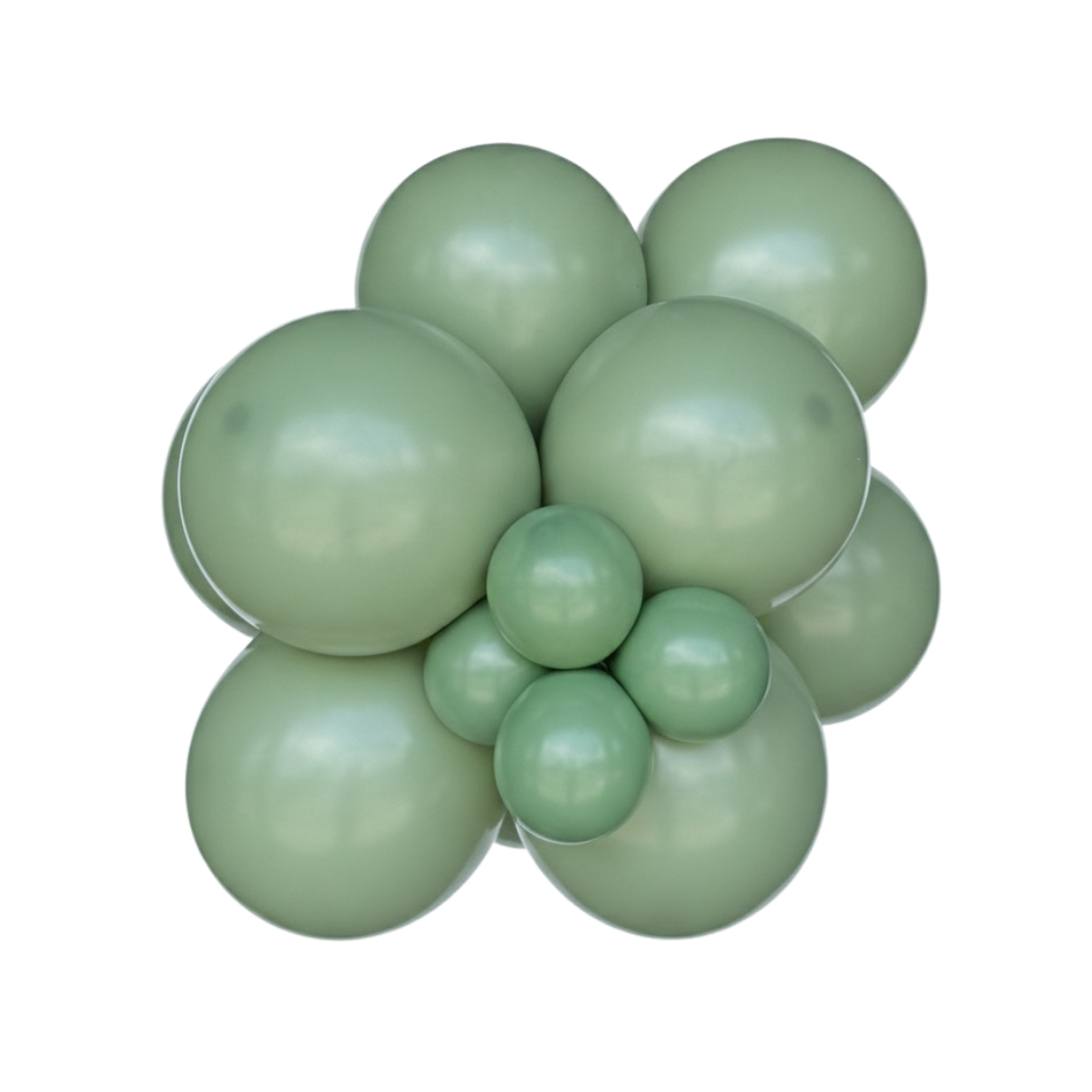 Eucalyptus