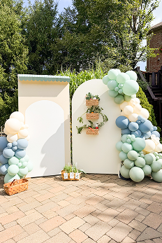 Double Arch Backdrop + Balloons