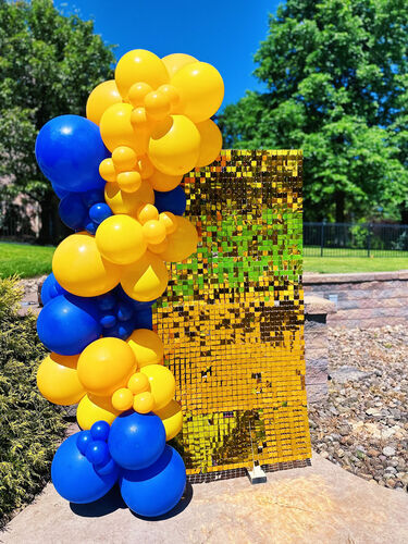 Shimmer Wall + Balloons