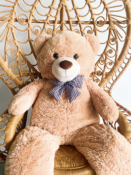 Bear Rental
