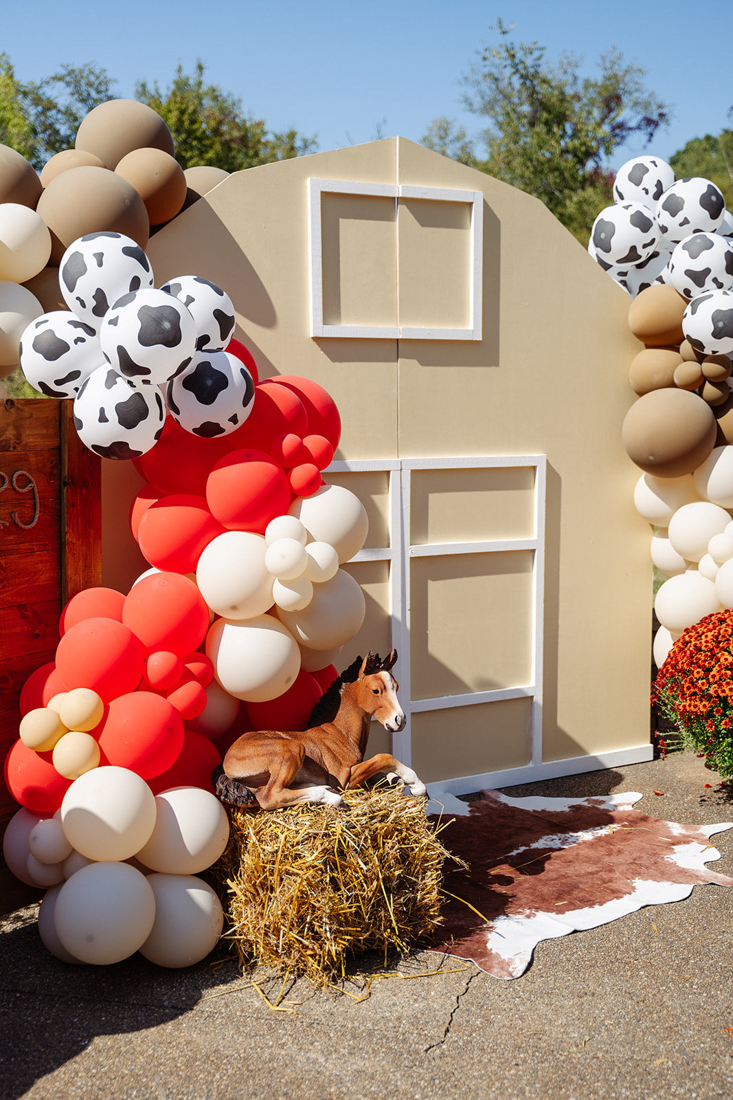 Balloon Installations